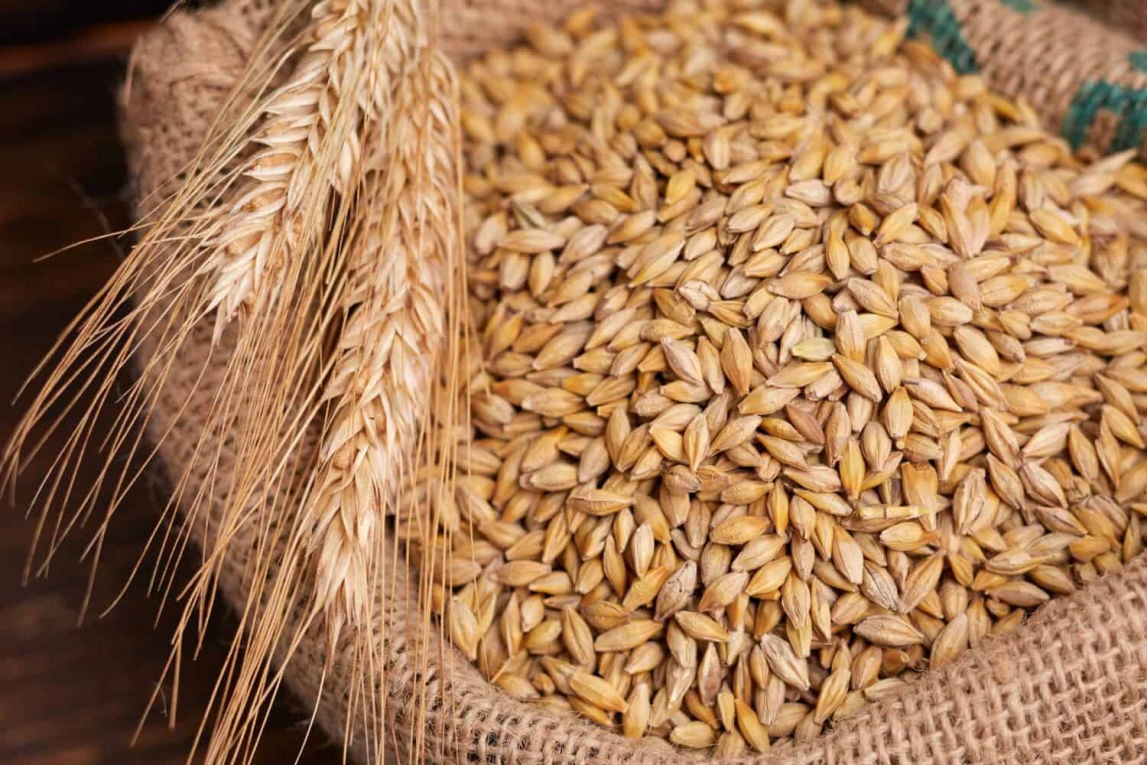 Food Commodities