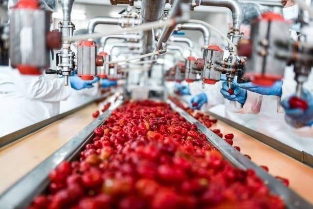 Agro-processing