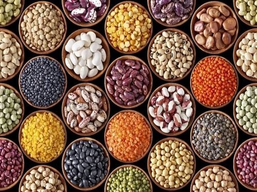 Oilseeds Export
