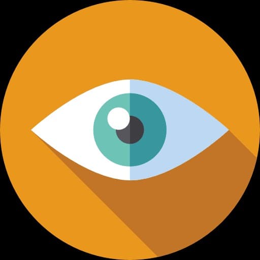 Our Vision
